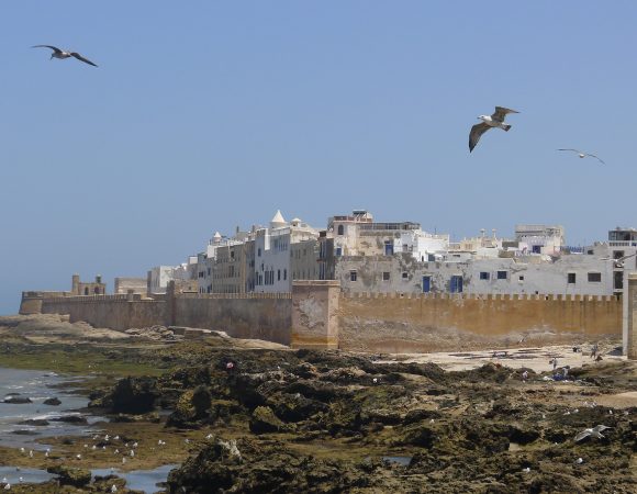 Excursão A Essaouira